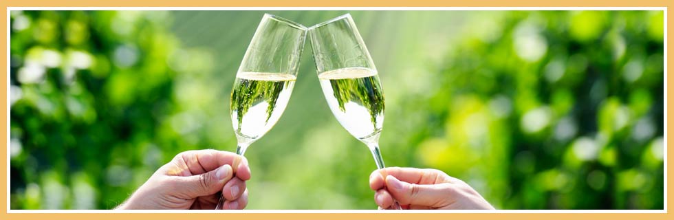 Champagne Glass Banner Image