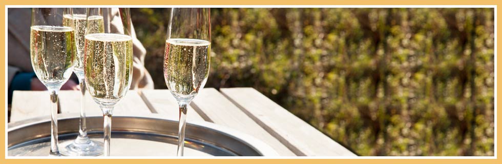 Champagne Glass Banner Image